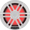 Picture of Rockford Fosgate M1D2-12