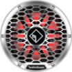 Picture of Rockford Fosgate M2D4-10I