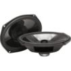 Picture of Rockford Fosgate TMS69BL9813