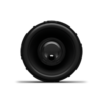 Picture of Rockford Fosgate P1V2-25