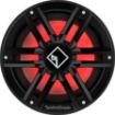 Picture of Rockford Fosgate M2D4-10IB