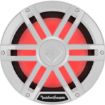 Picture of Rockford Fosgate M1D4-10